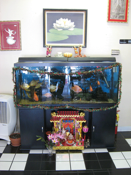Gigantic fish tank