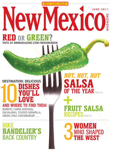 NMMagazineGreen