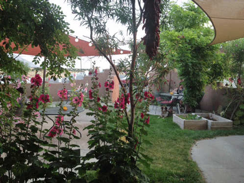 The patio at Blades' Bistro in Placitas