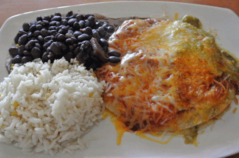 Slow Roasted Turkey Enchilada