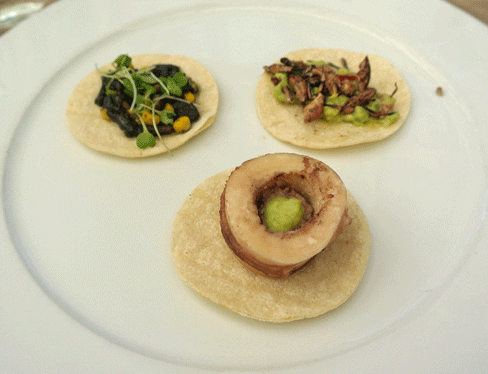 Epazote15