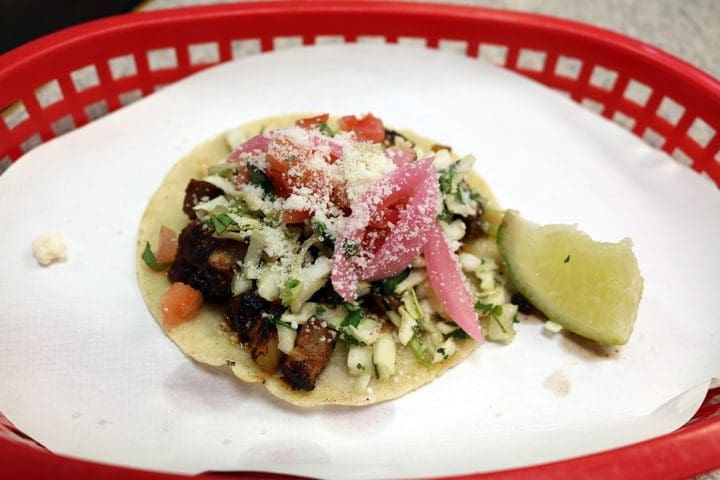 Krazy Lizard – Albuquerque, New Mexico (CLOSED)